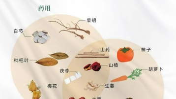 【顺友和】一文带你看懂药食同源